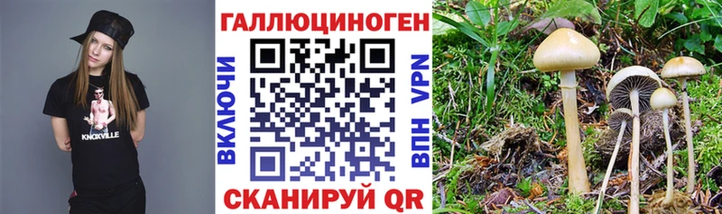 Купить Иннополис Псилоцибиновые грибы ЛСД